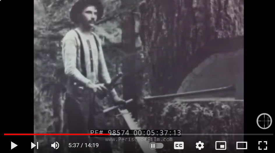 Go Back in Time to Logging in the Pacific Northwest More than 75 Year Ago